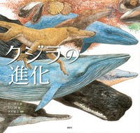 『クジラの進化』表紙