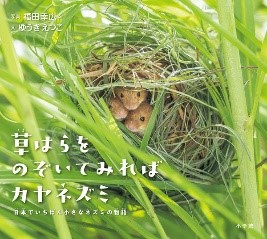 『草はらをのぞいてみればカヤネズミ』表紙