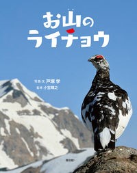 『お山のライチョウ』表紙