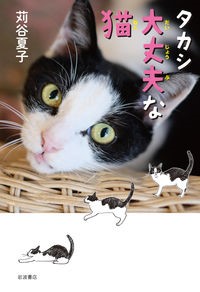 『タカシ　大丈夫な猫』表紙