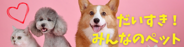 (未設定)